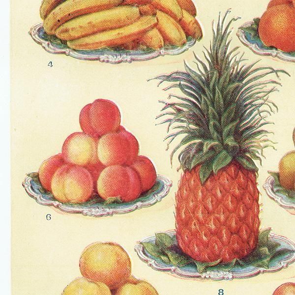 ߥӡȥβܤ ե롼 DESSERT FRUIT 1923ǯ ꥹƥץ 0163