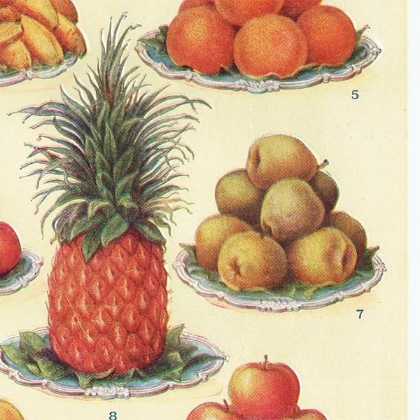 ߥӡȥβܤ ե롼 DESSERT FRUIT 1923ǯ ꥹƥץ 0163
