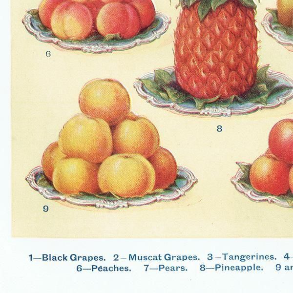 ߥӡȥβܤ ե롼 DESSERT FRUIT 1923ǯ ꥹƥץ 0163