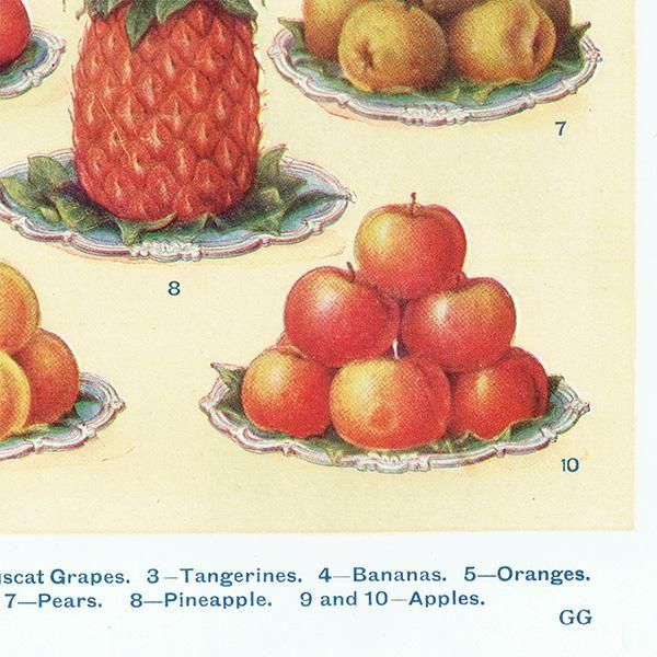 ߥӡȥβܤ ե롼 DESSERT FRUIT 1923ǯ ꥹƥץ 0163