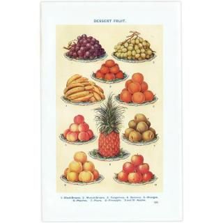 ߥӡȥβܤ ե롼 DESSERT FRUIT 1923ǯ ꥹƥץ 0163