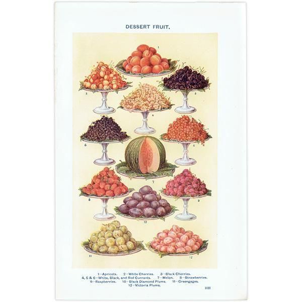 ߥӡȥβܤ ե롼 DESSERT FRUIT 1923ǯ ꥹƥץ 0164