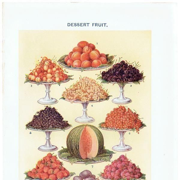 ߥӡȥβܤ ե롼 DESSERT FRUIT 1923ǯ ꥹƥץ 0164