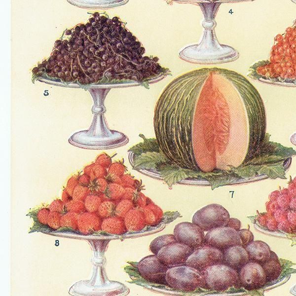 ߥӡȥβܤ ե롼 DESSERT FRUIT 1923ǯ ꥹƥץ 0164