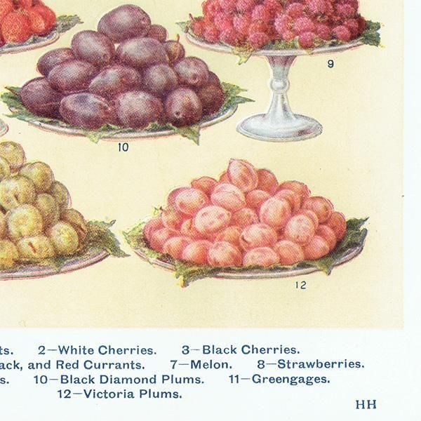 ߥӡȥβܤ ե롼 DESSERT FRUIT 1923ǯ ꥹƥץ 0164