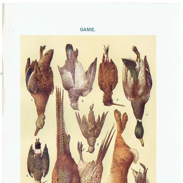 ߥӡȥβܤ Ļ GAME 1923ǯ ꥹƥץ 0167