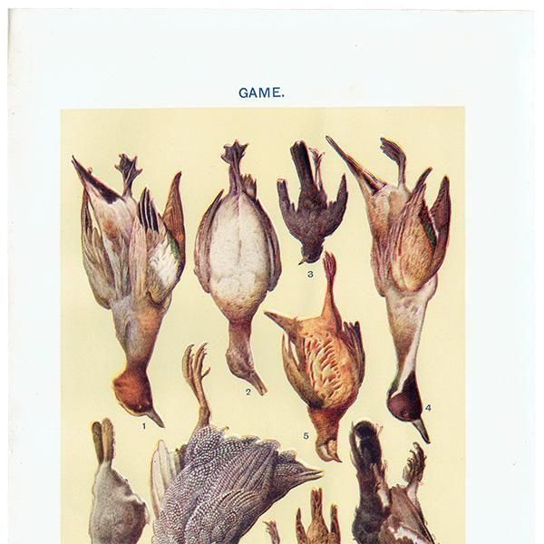 ߥӡȥβܤ Ļ GAME 1923ǯ ꥹƥץ 0168