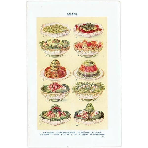 ߥӡȥβܤ  SALADS 1923ǯ ꥹƥץ 0171