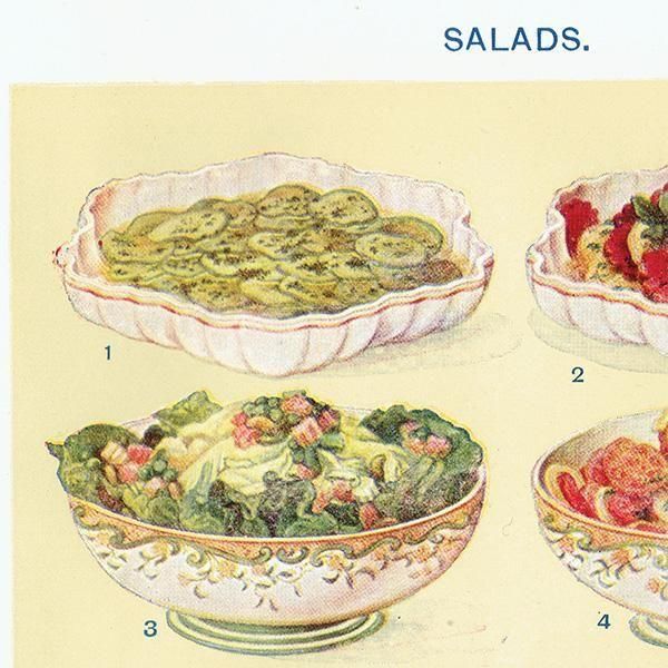 ߥӡȥβܤ  SALADS 1923ǯ ꥹƥץ 0171