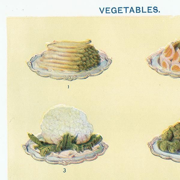 ミセスビートンの家政読本より 野菜料理 VEGETABLES 1923年 イギリスアンティークプリント 0172