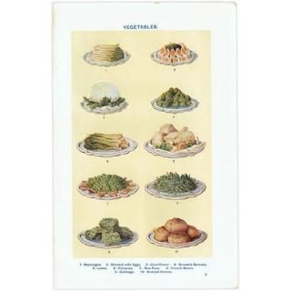 ߥӡȥβܤ  VEGETABLES 1923ǯ ꥹƥץ 0172
