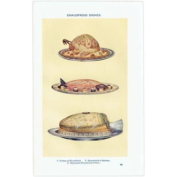 ߥӡȥβܤ 硼ե CHAUDFROID DISHES 1923ǯ ꥹƥץ 0173