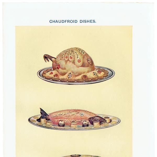 ߥӡȥβܤ 硼ե CHAUDFROID DISHES 1923ǯ ꥹƥץ 0173