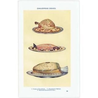 ߥӡȥβܤ 硼ե CHAUDFROID DISHES 1923ǯ ꥹƥץ 0173