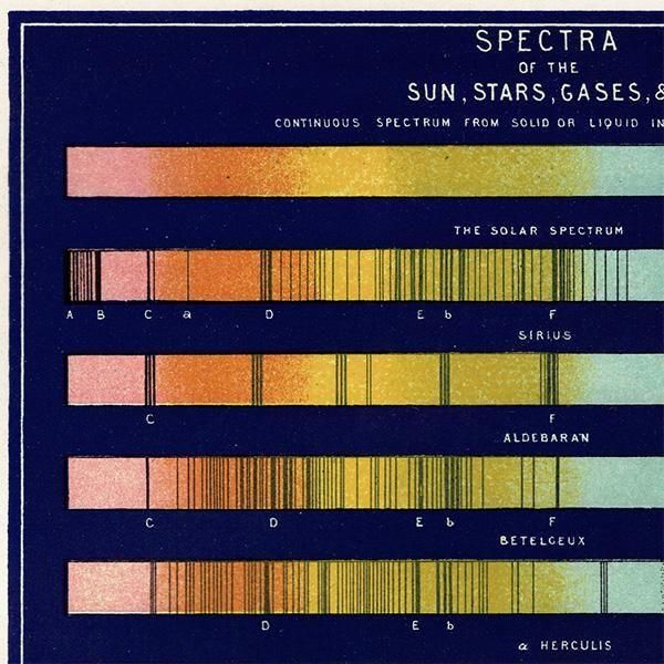 ŷʸء ۡʤɤΥڥȥ Spectra of the Sun, Stars, Gases, & c  1890ǯ ꥹ ƥ ץ | 0104ĥ