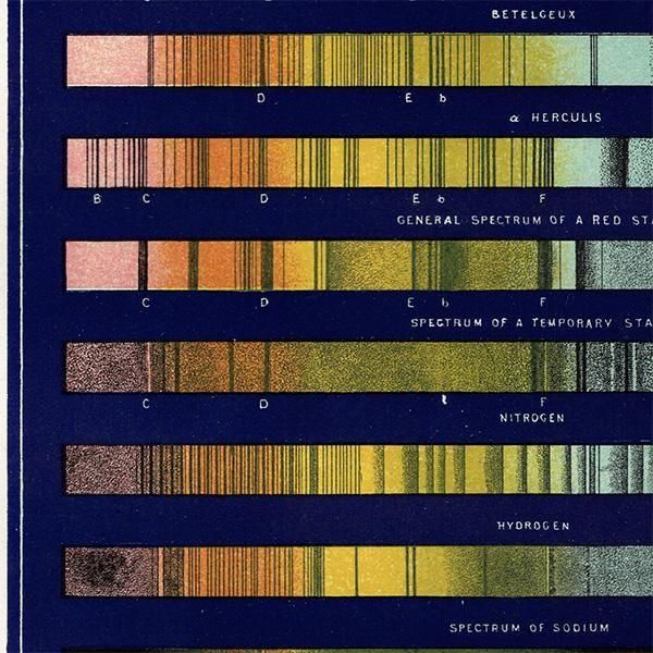 ŷʸء ۡʤɤΥڥȥ Spectra of the Sun, Stars, Gases, & c  1890ǯ ꥹ ƥ ץ | 0104ĥ