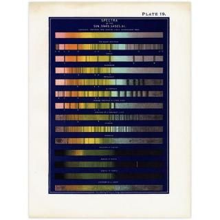 ŷʸء ۡʤɤΥڥȥ Spectra of the Sun, Stars, Gases, & c  1890ǯ ꥹ ƥ ץ | 0104ĥ