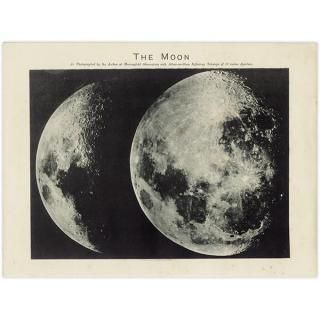 ŷʸء  The Moon 1890ǯ ꥹ ƥ ץ | 0106ĥ