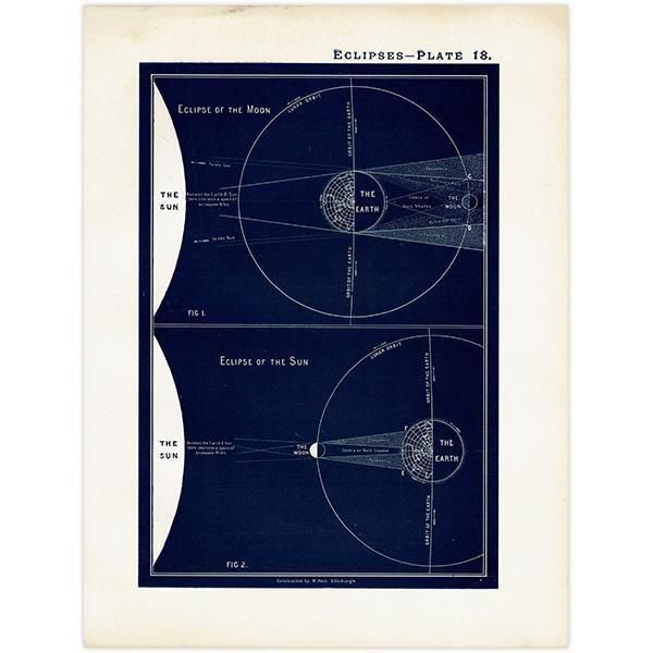 ŷʸء  Eclipses  1890ǯ ꥹ ƥ ץ | 0108