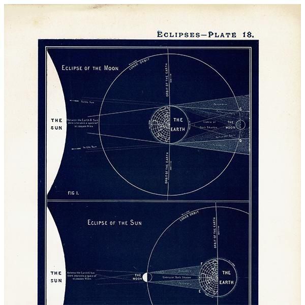 ŷʸء  Eclipses  1890ǯ ꥹ ƥ ץ | 0108