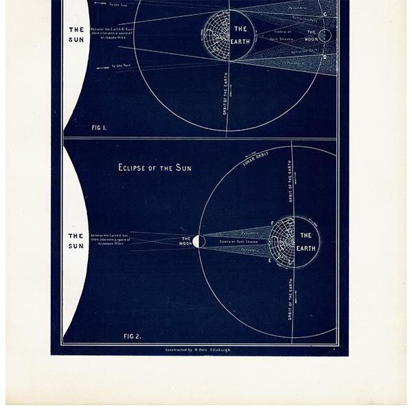 ŷʸء  Eclipses  1890ǯ ꥹ ƥ ץ | 0108