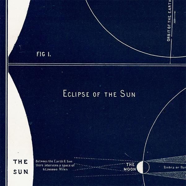 ŷʸء  Eclipses  1890ǯ ꥹ ƥ ץ | 0108
