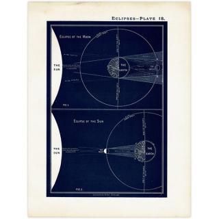 ŷʸء  Eclipses  1890ǯ ꥹ ƥ ץ | 0108