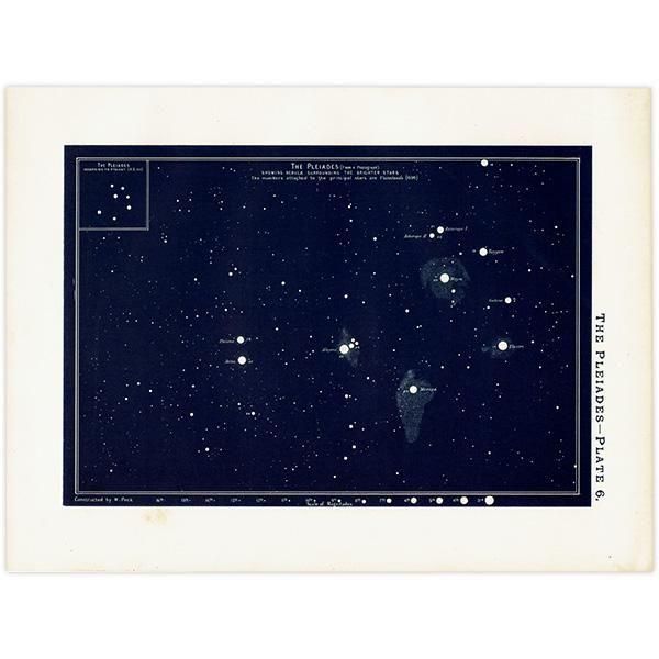 ŷʸء ץ쥢ǥ The Pleiades 1890ǯ ꥹ ƥ ץ | 0109