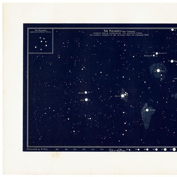 ŷʸء ץ쥢ǥ The Pleiades 1890ǯ ꥹ ƥ ץ | 0109