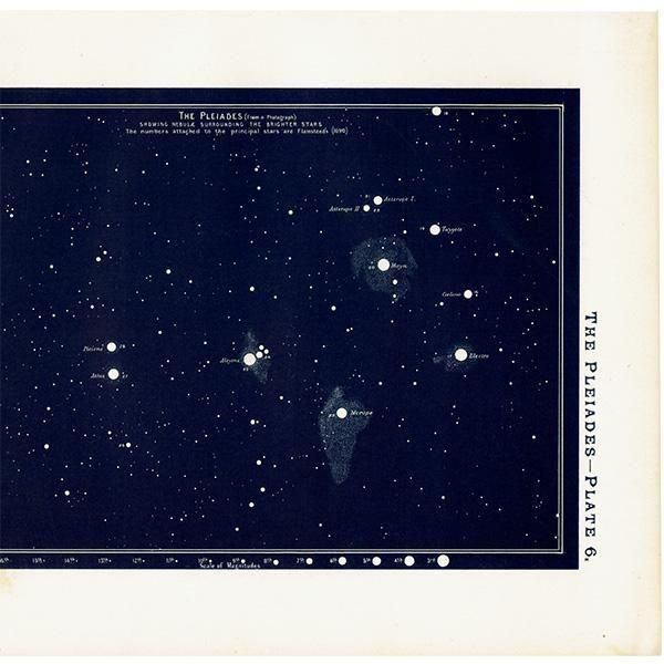 ŷʸء ץ쥢ǥ The Pleiades 1890ǯ ꥹ ƥ ץ | 0109