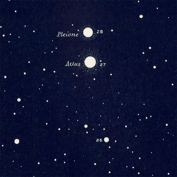ŷʸء ץ쥢ǥ The Pleiades 1890ǯ ꥹ ƥ ץ | 0109