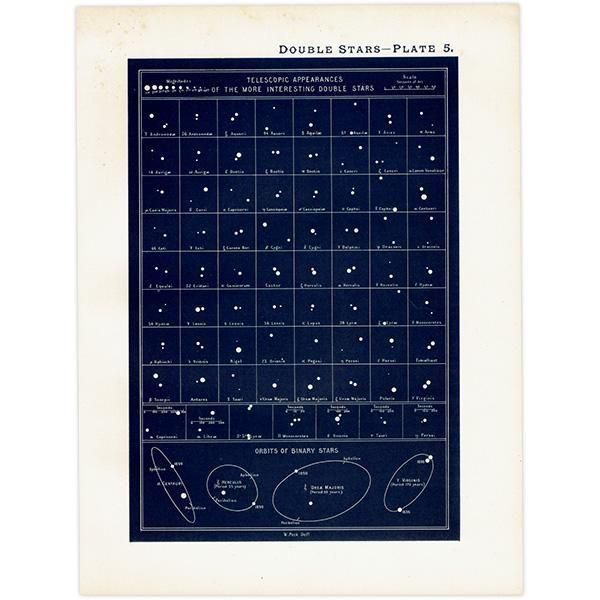 Amazon.co.jp: 1910年 イギリスの星の図鑑 STARS アンティーク