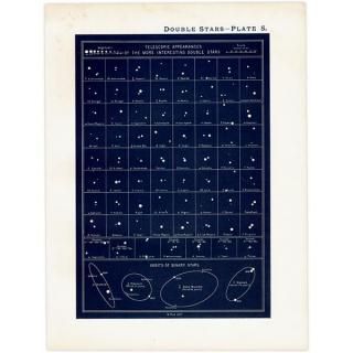 洋書 古書 アンティーク Stars イギリスの星図鑑 天文学 惑星 星座