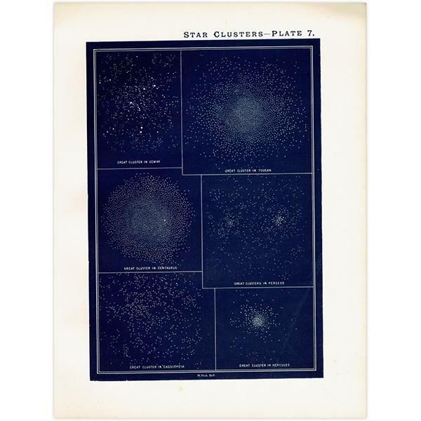 ŷʸء  Star Clusters  1890ǯ ꥹ ƥ ץ | 0113