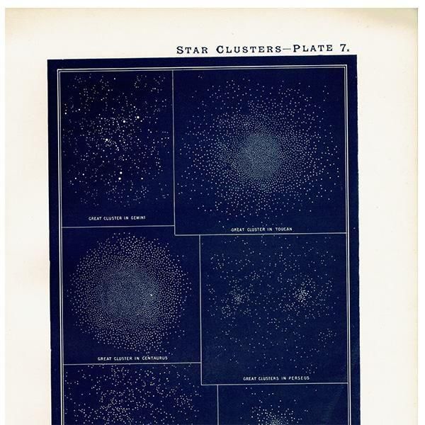 ŷʸء  Star Clusters  1890ǯ ꥹ ƥ ץ | 0113