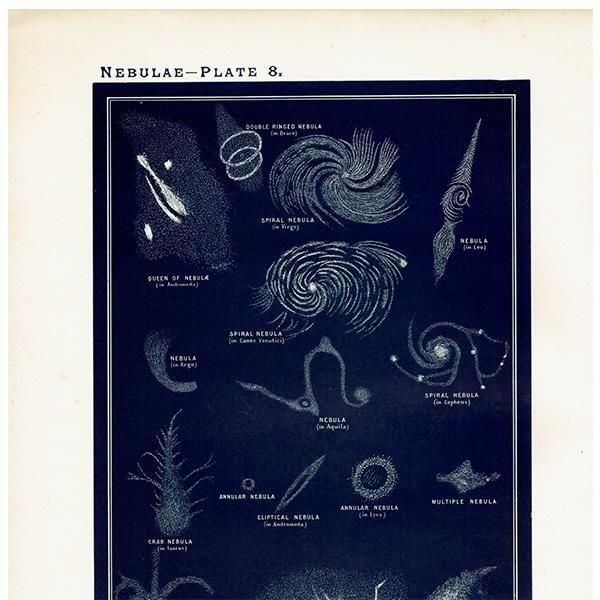 ŷʸء  Nebulae 1890ǯ ꥹ ƥ ץ | 0114