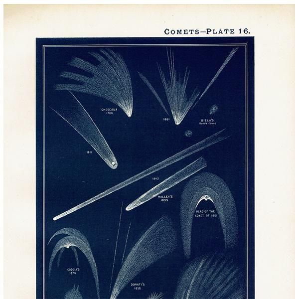 ŷʸء  Comets 1890ǯ ϥ졼ʤ ꥹ ƥ ץ | 0115
