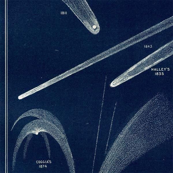 ŷʸء  Comets 1890ǯ ϥ졼ʤ ꥹ ƥ ץ | 0115