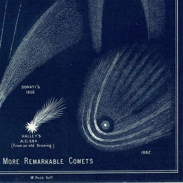 ŷʸء  Comets 1890ǯ ϥ졼ʤ ꥹ ƥ ץ | 0115
