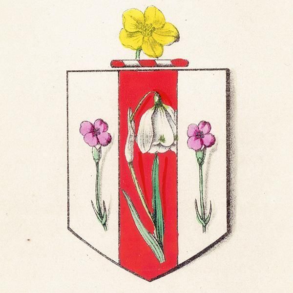 ꥹ ƥ ֤ ܥ˥륢 ̥ʥǥproliferous pinkˡΡɥå (snowdrop)  1851ǯ 1027