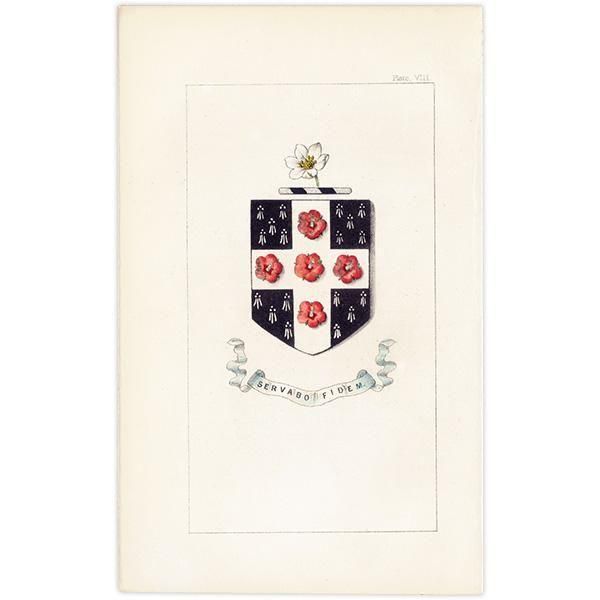 ꥹ ƥ ֤ ܥ˥륢 Хʥϥ١scarlet pimpernelˡ˥(srat of Bethlehem)  1851ǯ 1032