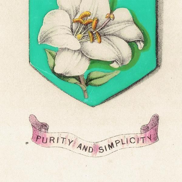 ꥹ ƥ ֤ ܥ˥륢 ۥ磻ȥ꡼إ٥롢եå  1851ǯ 1035
