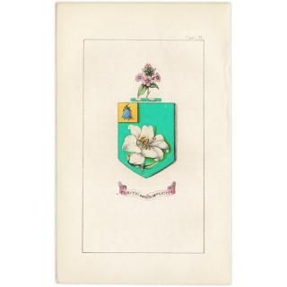 ꥹ ƥ ֤ ܥ˥륢 ۥ磻ȥ꡼إ٥롢եå  1851ǯ 1035