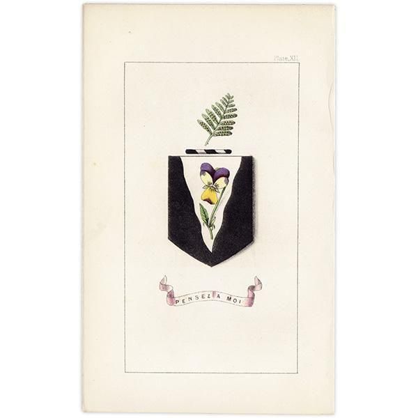 ꥹ ƥ ֤ ܥ˥륢 󥷥ߥViola tricolorˤȥspring of fern1851ǯ 1036