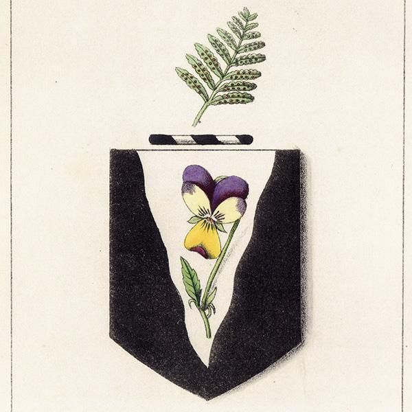 ꥹ ƥ ֤ ܥ˥륢 󥷥ߥViola tricolorˤȥspring of fern1851ǯ 1036