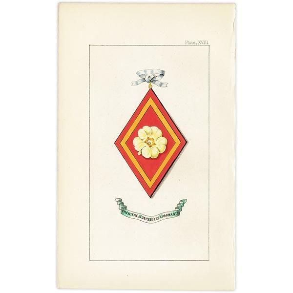 ꥹ ƥ ֤ ܥ˥륢 ץPrimrose1851ǯ 1042
