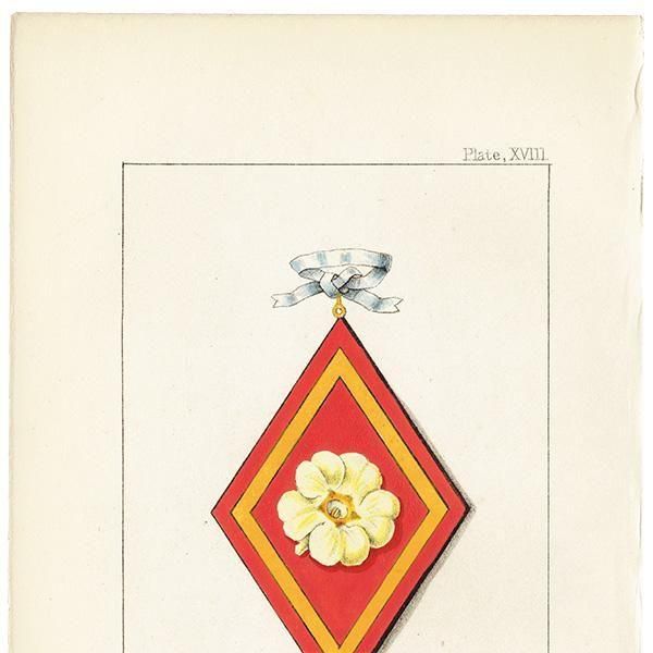 ꥹ ƥ ֤ ܥ˥륢 ץPrimrose1851ǯ 1042