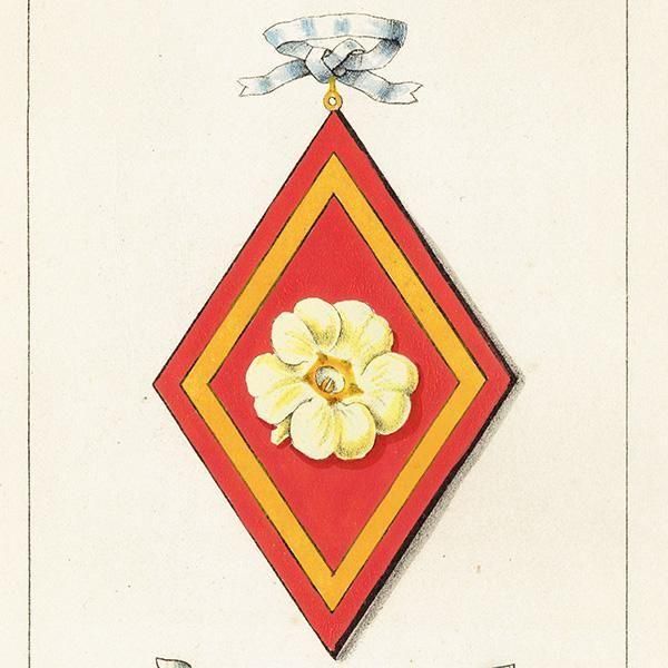 ꥹ ƥ ֤ ܥ˥륢 ץPrimrose1851ǯ 1042