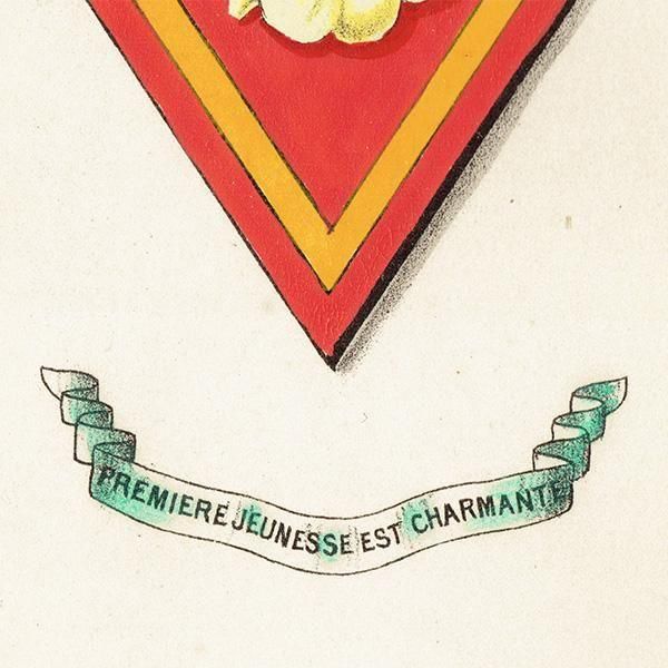ꥹ ƥ ֤ ܥ˥륢 ץPrimrose1851ǯ 1042