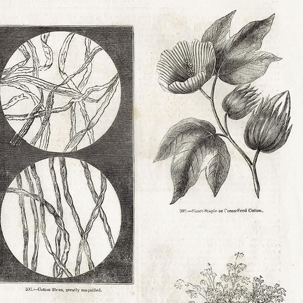 アンティーク 絵 アンティーク額絵｜クマのプーさん｜プー&オウル